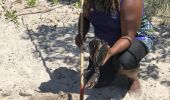 Catching Mud Crabs with Tweed Eco Cruises in Tweed Heads